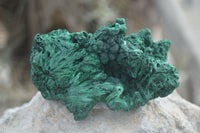 Natural Chatoyant Silky Malachite Specimens  x 6 From Kasompe, Congo - Toprock Gemstones and Minerals 