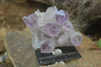 Natural Jacaranda Amethyst Clusters  x 3 From Zambia - Toprock Gemstones and Minerals 