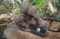 Natural Smokey Phantom Quartz Cluster x 1 From Luena, Congo