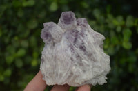 Natural Sugar Amethyst Clusters  x 4 From Zambia