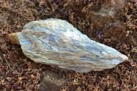 Natural Blue Kyanite Crystals In Schist Specimens  x 3 From Karoi, Zimbabwe - TopRock