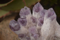 Natural Sugar Amethyst Clusters  x 6 From Solwezi, Zambia