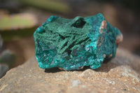 Natural Dioptase & Malachite Specimens  x 6 From Likasi, Congo