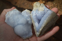 Natural Blue Lace Agate Geode Specimens  x 12 From Nsanje, Malawi - Toprock Gemstones and Minerals 