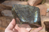 Polished Flashy Labradorite Standing Free Form  x 1 From Tulear, Madagascar