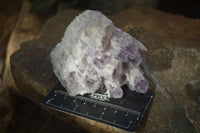 Natural Sugar Amethyst Clusters  x 4 From Zambia