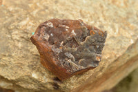 Natural Drusy Dolomite With Malachite On Hematite Matrix  x 4 From Kakanda, Congo - TopRock