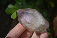 Natural Window Amethyst Quartz Crystals  x 12 From Ambatondrazaka, Madagascar - Toprock Gemstones and Minerals 