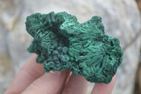 Natural Chatoyant Silky Malachite Specimens  x 6 From Kasompe, Congo - Toprock Gemstones and Minerals 