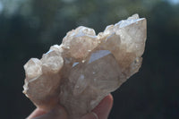 Natural Cascading White Phantom Smokey Quartz Clusters  x 3 From Luena, Congo - Toprock Gemstones and Minerals 