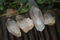 Natural Single Smokey Quartz Crystals  x 4.9 Kg Lot  From Zimbabwe - Toprock Gemstones and Minerals 