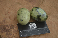 Polished Leopard Stone Eggs  x 12 From Zimbabwe - TopRock