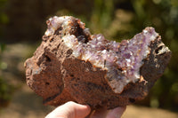 Natural Dark Amethyst Geodes In Basalt  x 2 From Zululand, South Africa - TopRock