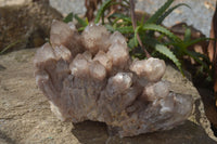 Natural Smokey Phantom Quartz Cluster x 1 From Luena, Congo