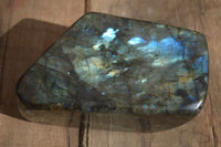 Polished Flashy Labradorite Standing Free Form  x 1 From Tulear, Madagascar