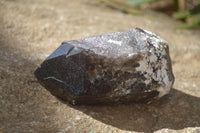 Natural Smokey Quartz Crystal Specimens x 3 From Malawi