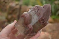 Natural Red Hematoid Quartz Specimens x 3 From Karoi, Zimbabwe - TopRock