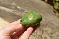 Polished Green Verdite Palm Stones  x 12 From Zimbabwe - TopRock