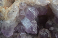 Natural Jacaranda Amethyst Cluster x 1 From Mumbwa, Zambia - TopRock