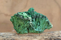 Natural Chatoyant Silky Malachite Specimens  x 5 From Kasompe, Congo - TopRock