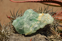 Natural Cobbed Watermelon Fluorite Specimens  x 5 From Uis, Namibia - TopRock