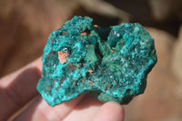 Natural Dioptase & Malachite Specimens  x 6 From Likasi, Congo