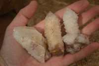 Natural White Fairy Spirit Quartz Clusters x 12 From Boekenhouthoek, South Africa