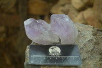 Natural Single Jacaranda Amethyst Crystals x 12 From Mumbwe, Zambia