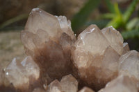 Natural Smokey Phantom Quartz Cluster x 1 From Luena, Congo