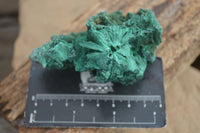 Natural Chatoyant Silky Malachite Specimens  x 6 From Kasompe, Congo - Toprock Gemstones and Minerals 