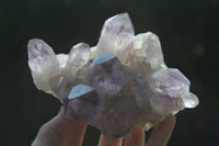 Natural Jacaranda Amethyst Clusters  x 3 From Zambia - Toprock Gemstones and Minerals 