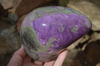 Polished Extra Large Stichtite Display Piece x 1 From Barberton, South Africa