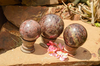 Polished Matrix Pyrope Garnet Spheres  x 3 From Madagascar - TopRock