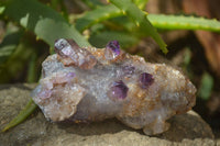 Natural Hand Made Chiredzi Amethyst Conglomerate Specimens x 6 From Chiredzi, Zimbabwe