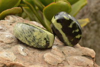 Polished Selected Leopard Stone Free Forms With Nice Colour & Patterns  x 5 From Zimbabwe - TopRock