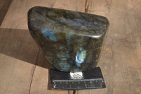 Polished Flashy Labradorite Standing Free Form  x 1 From Tulear, Madagascar