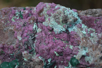 Natural Pink Salrose Cobaltion Dolomite Specimens  x 2 From Kakanda, Congo