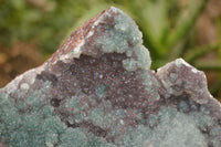 Natural Drusy Coated Ball Malachite On Dolomite Specimen  x 1 From Likasi, Congo