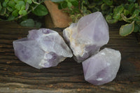 Natural Large Single Amethyst Crystals  x 3 From Mapatizya, Zambia - Toprock Gemstones and Minerals 