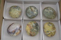 Polished Dendritic Opal Palm Stones  x 6 From Madagascar - Toprock Gemstones and Minerals 