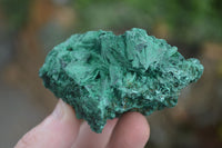 Natural Chatoyant Silky Malachite Specimens  x 6 From Kasompe, Congo - Toprock Gemstones and Minerals 