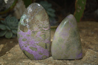 Polished Purple Stichtite Standing Free Forms x 6 From Barberton, South Africa