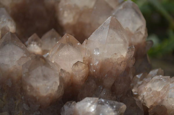 Natural Smokey Phantom Quartz Cluster x 1 From Luena, Congo