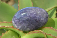 Polished Large Lepidolite Palm Stones  x 6 From Zimbabwe