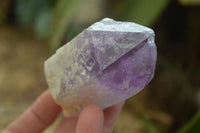 Natural Single Jacaranda Amethyst Crystals x 12 From Mumbwe, Zambia