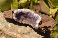 Natural Dark Amethyst Geodes In Basalt  x 2 From Zululand, South Africa - TopRock