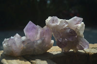 Natural Jacaranda Amethyst Clusters  x 3 From Zambia - Toprock Gemstones and Minerals 