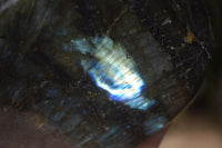 Polished Flashy Labradorite Standing Free Form  x 1 From Tulear, Madagascar