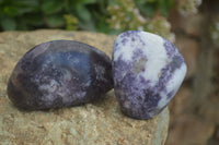 Polished Purple Lepidolite Free Forms  x 6 From Zimbabwe - Toprock Gemstones and Minerals 