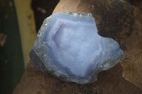 Natural Blue Lace Agate Geode Specimens  x 12 From Nsanje, Malawi - Toprock Gemstones and Minerals 